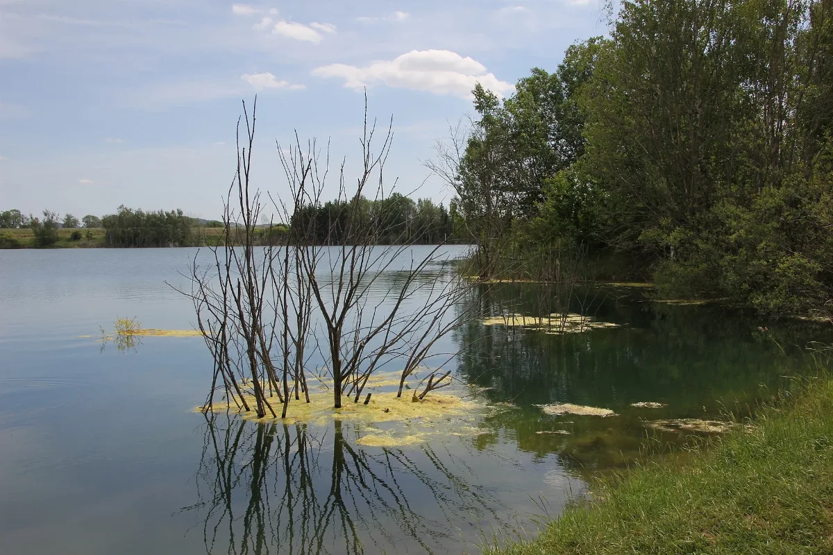 2 Tongrube Phb 12 (Bild 2 Tongrube, Heute Esbacher See)