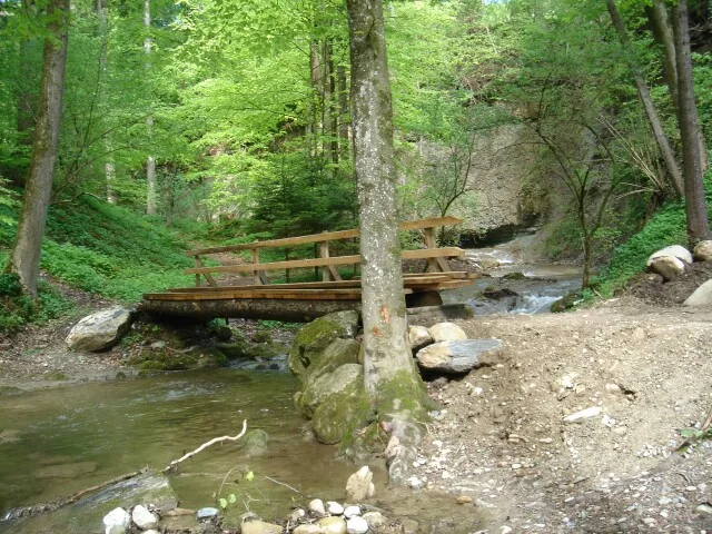 20050508S008 Muelibach