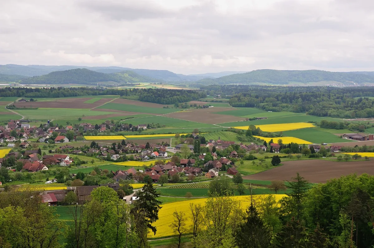 2010 05 14 15 03 55 Switzerland Zurich Wildensbuch
