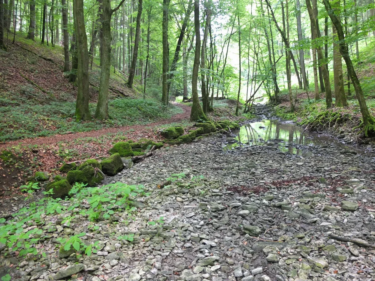 2012 06 06 Deubachtal 5