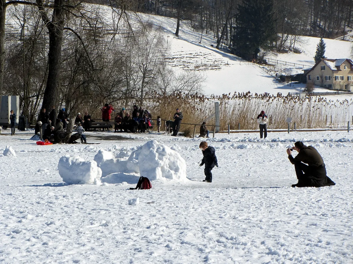 2012 'Seegfrörni' Türlersee Hausen Am Albis 2012 02 18 12 47 41 (Sx230)