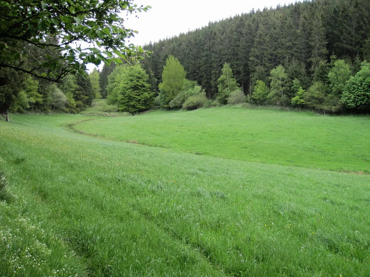 20140510 Kohlenstraße 03