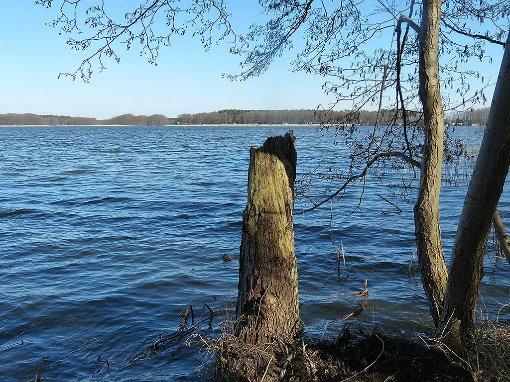 2015 03 18 Großer Wentowsee 021