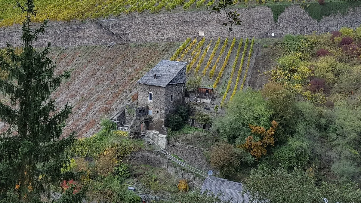 2016 Rheintal 001 Kaub Leiterberger Turm Philippinenburg