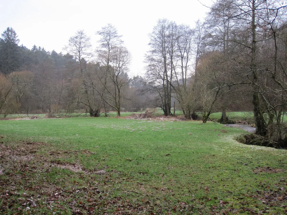 20160116 Mehrbachtal