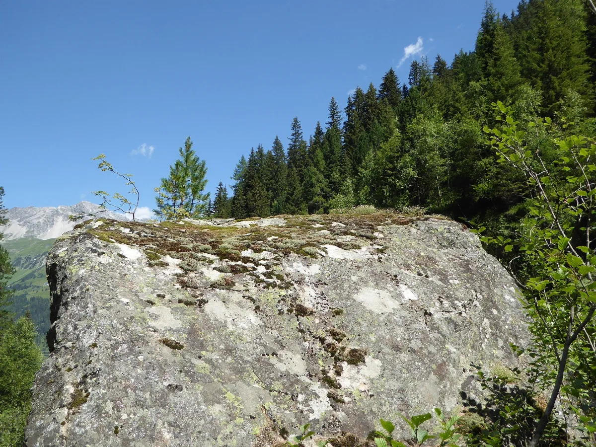20160730 Xl P1060182 Sankt Anton Am Arlberg Moosbachtal.wmc