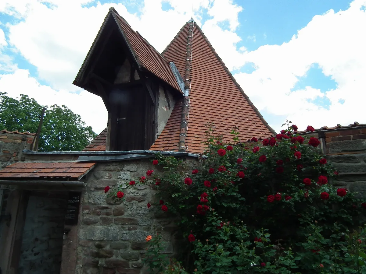 2020 06 26 Leuchtenburg 054