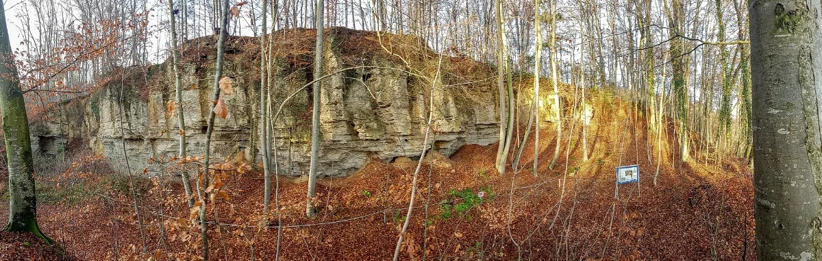 20201214 Nd Geologische Orgelnpano