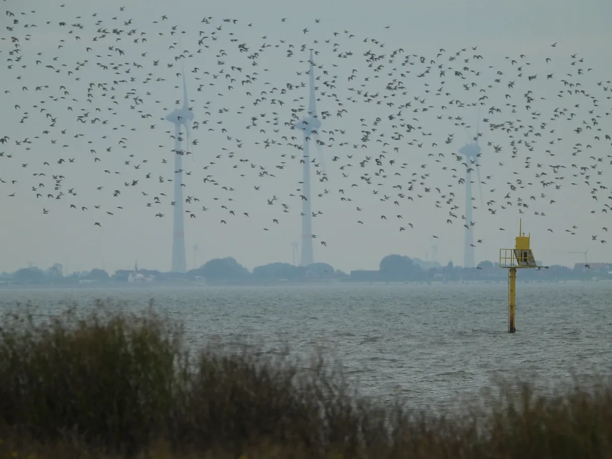 20211018 Xl Dscn1242 Windkraftanalgen In Niedersachsen