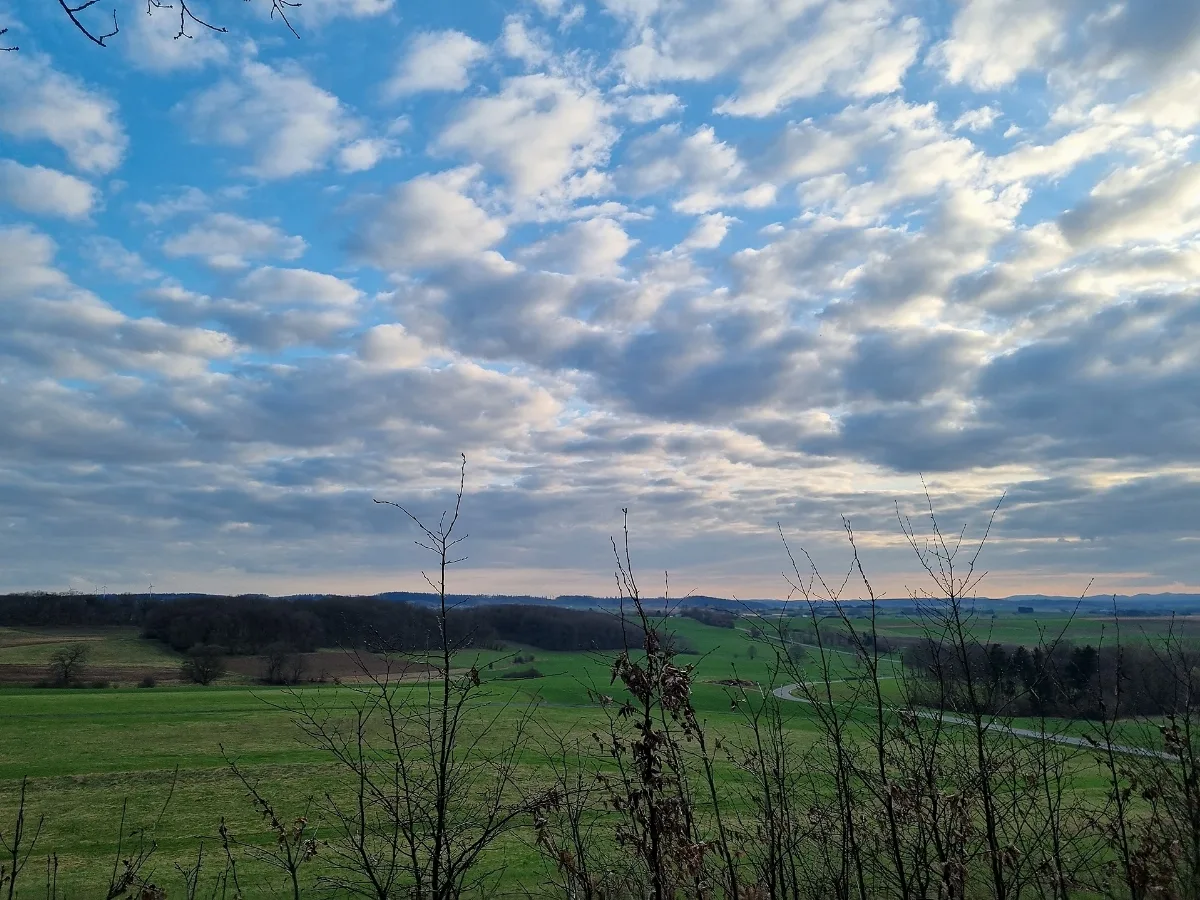 348 Waldstück Im Schippen Bei Louisendorf, Blick Richtung Geismar