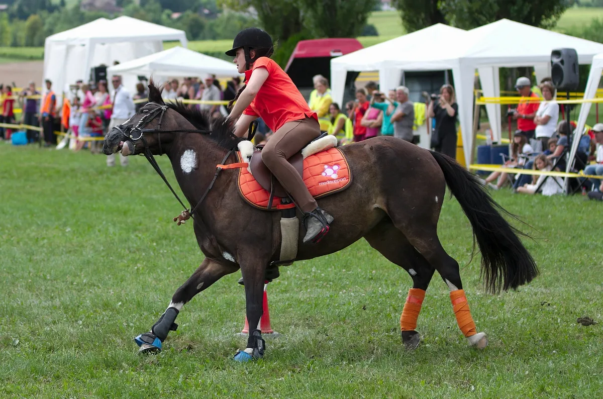4Ème Manche Du Championnat Suisse De Pony Games 2013 25082013 Laconnex 1