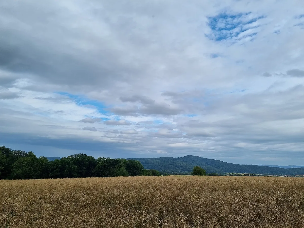 468 Planetenweg Zwischen Bad Zwesten Und Oberurff Schiffelborn, Blick Vom Waldrand Zum Altenberg