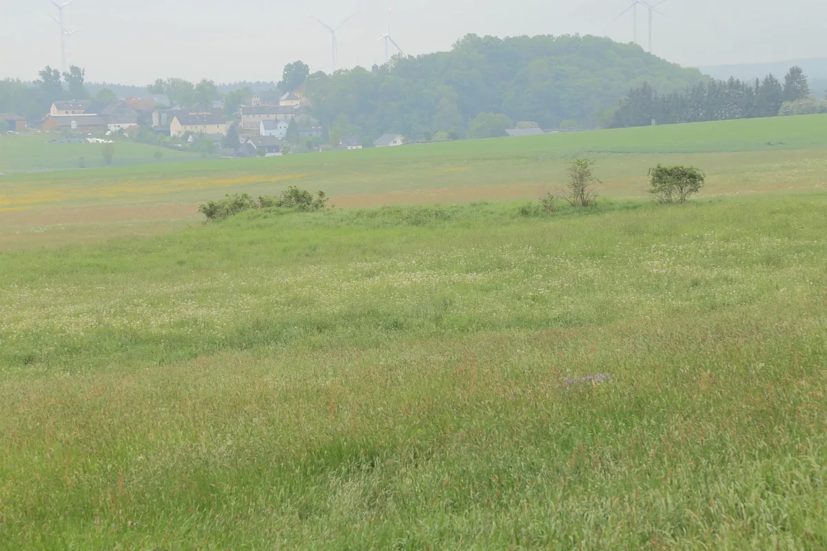 475A024 Ehem Steinbruch Nw Kirchgattendorf 6573