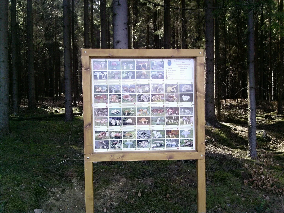 95698 Neualbenreuth, Germany Panoramio (13)