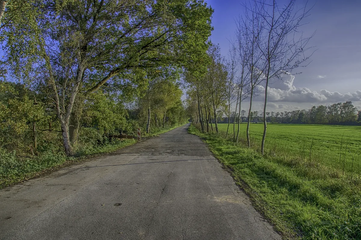 A Part Of Bottrop Panoramio