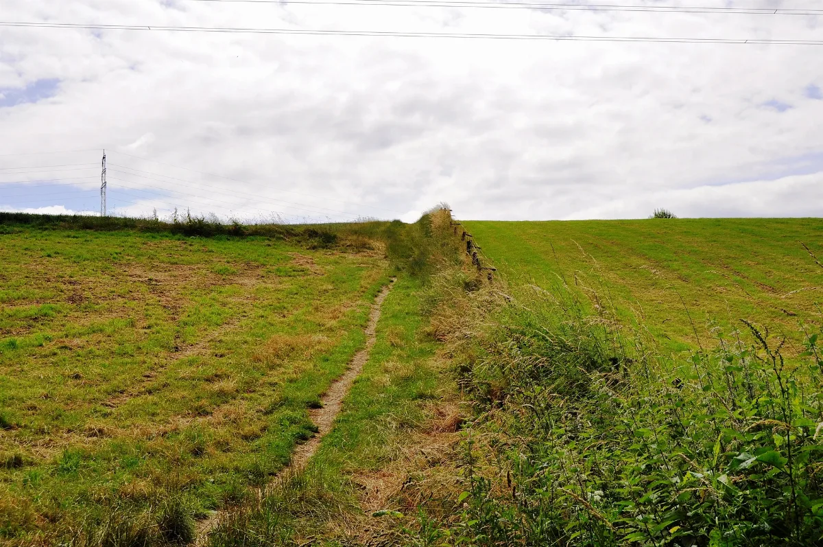 A Part Of Haan Panoramio (27)