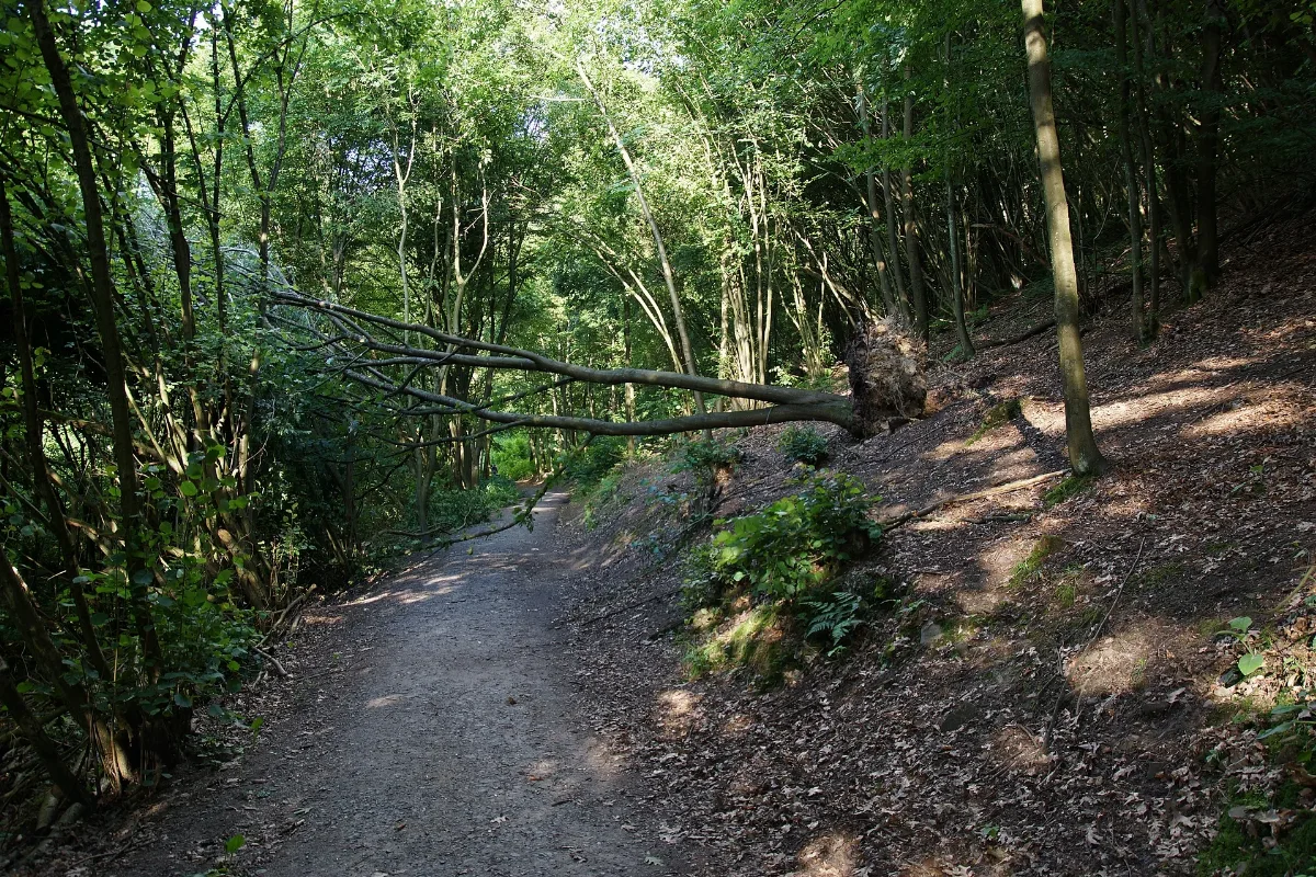 A Part Of Solingen After The Storm In June 2014 Panoramio