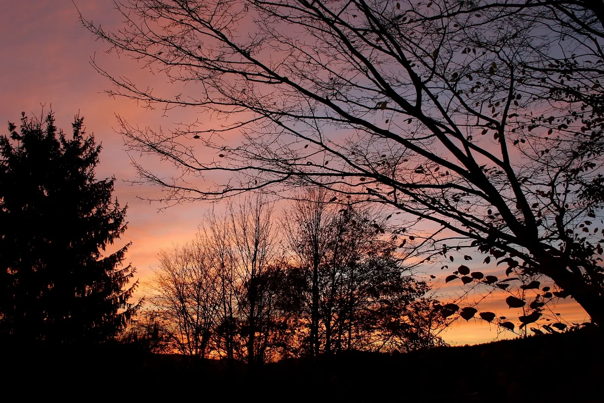 Abendstimmung Steinen Panoramio