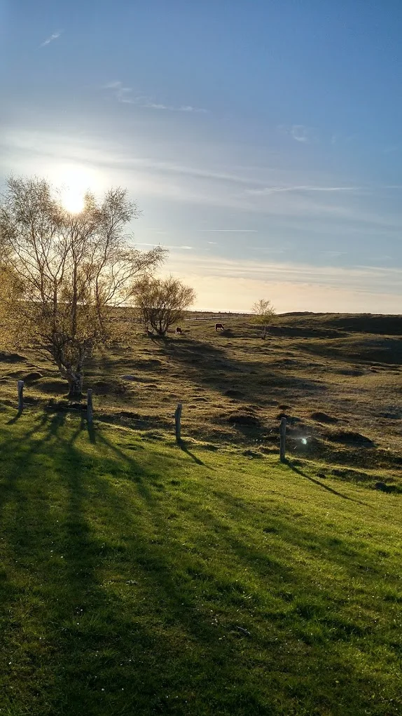Abendstimmung Weißenhäuser Brök
