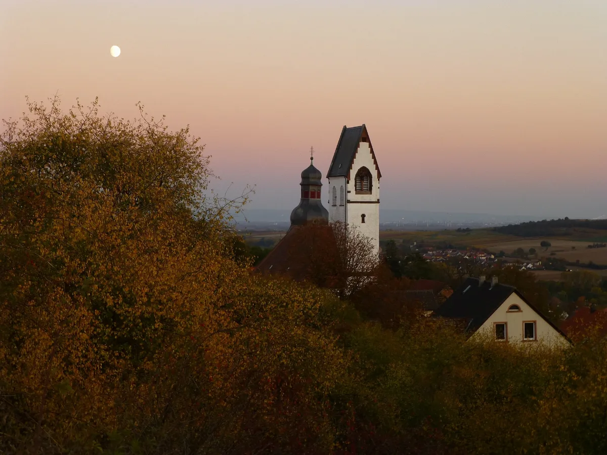 Abendstimmung Zell (Zellertal)