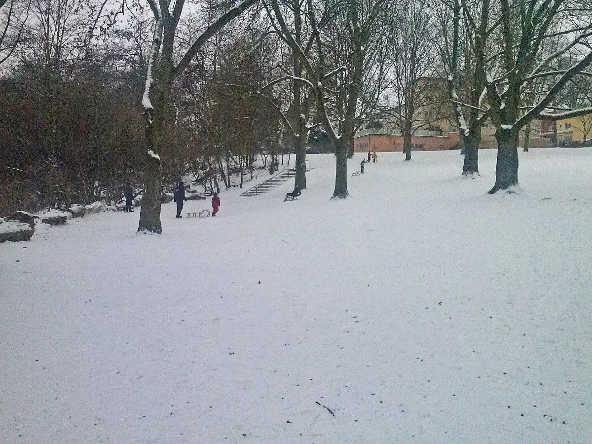 Adlerwiese In Frankfurt Praunheim 3