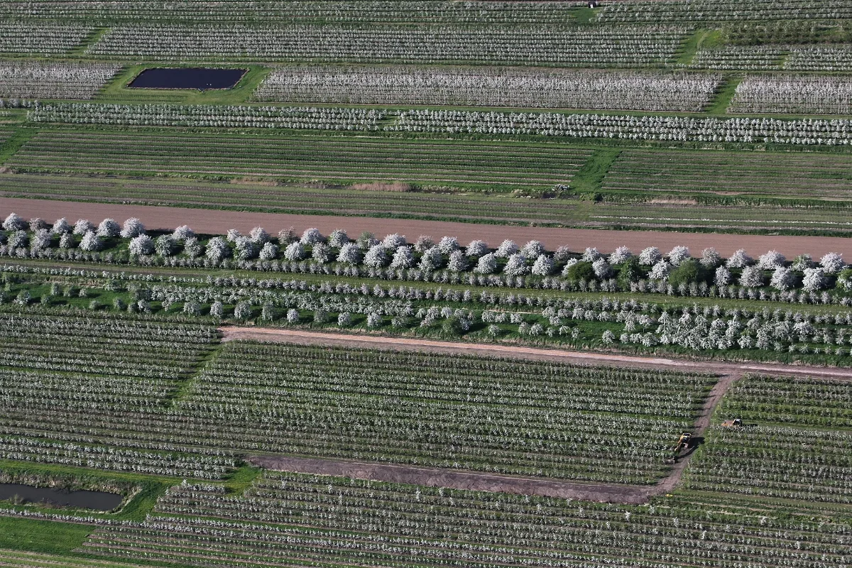Aerial Photograph 8355 Dxo