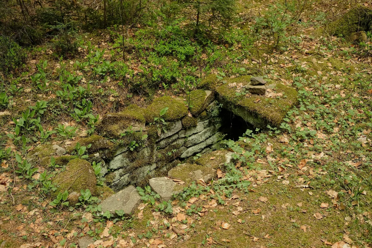 Alemannengräber (Obereschach) 0822