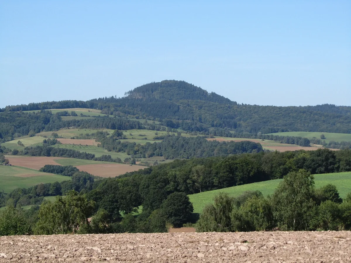 Alheimer