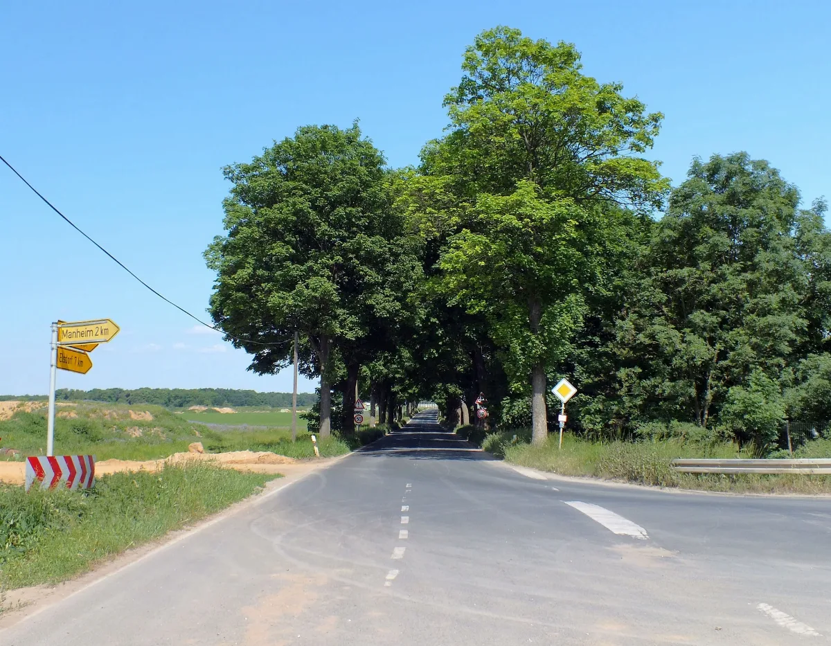 Allee Panoramio (8)
