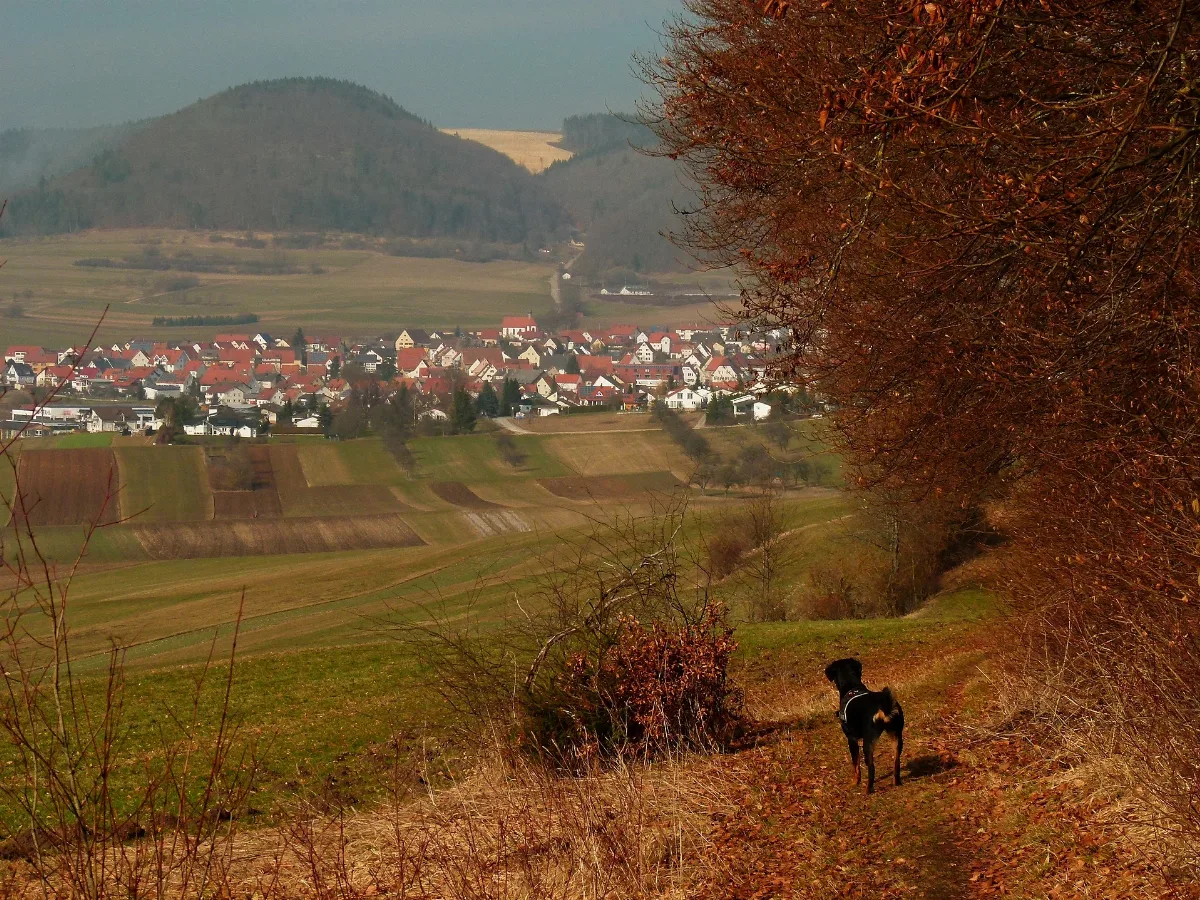 Alpha Enjoys The View, Dürbheim Panoramio
