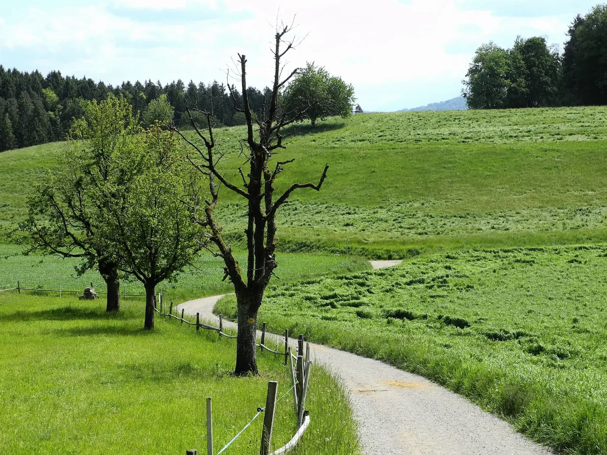 Altberg 2012 05 13 15 15 26 (P7000)