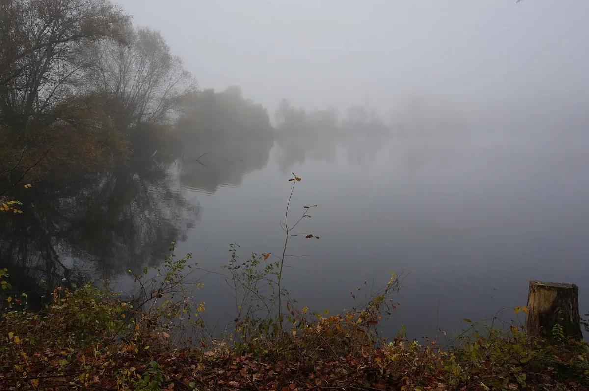 Alter Baggersee Ottenheim