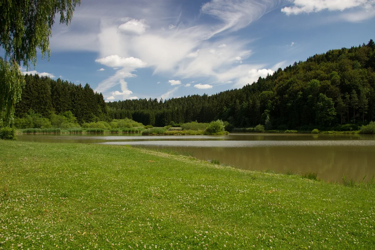 Am Linsenbergweiher 03