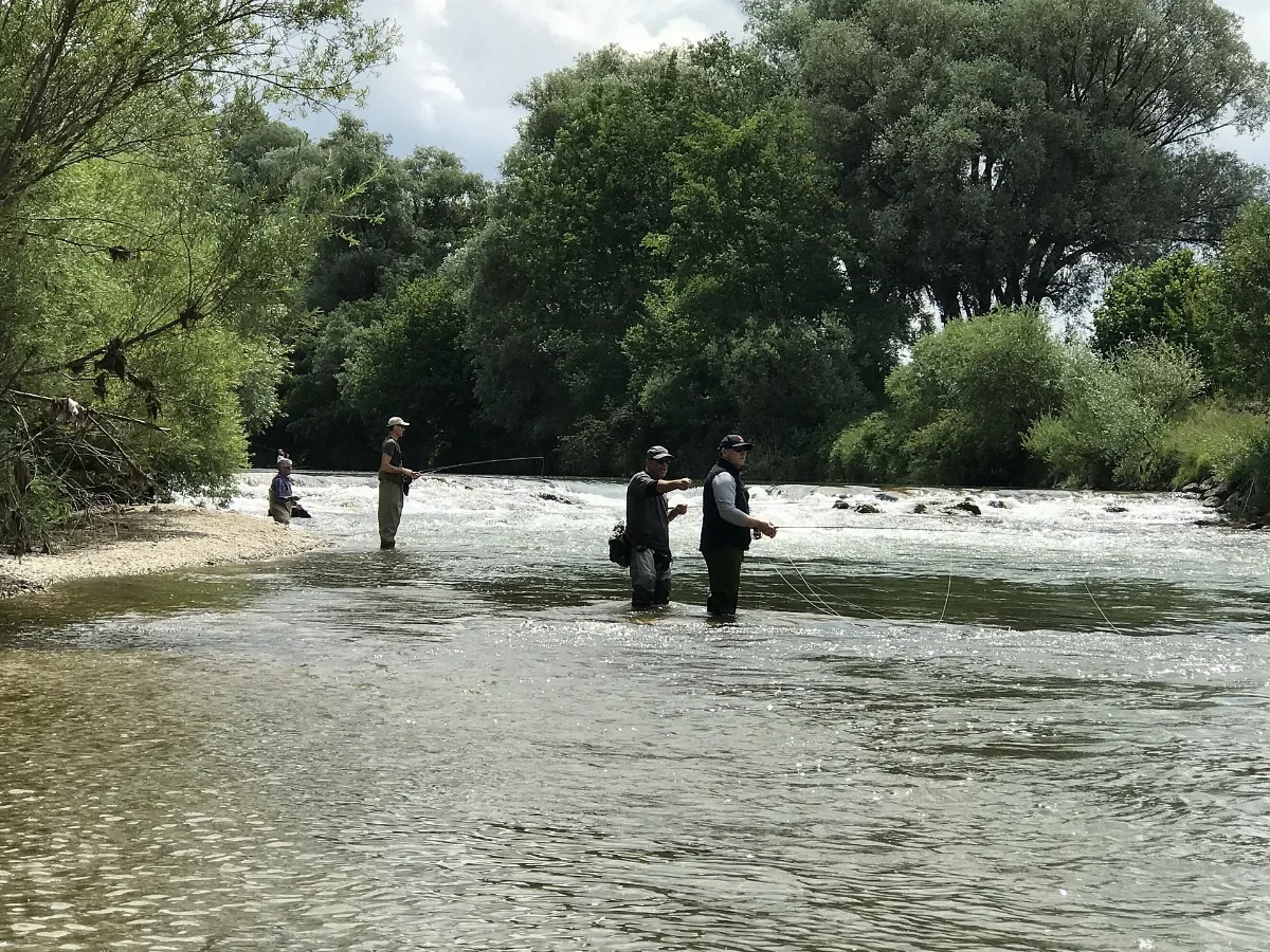 Ammer Bei Fischen Am Ammersee