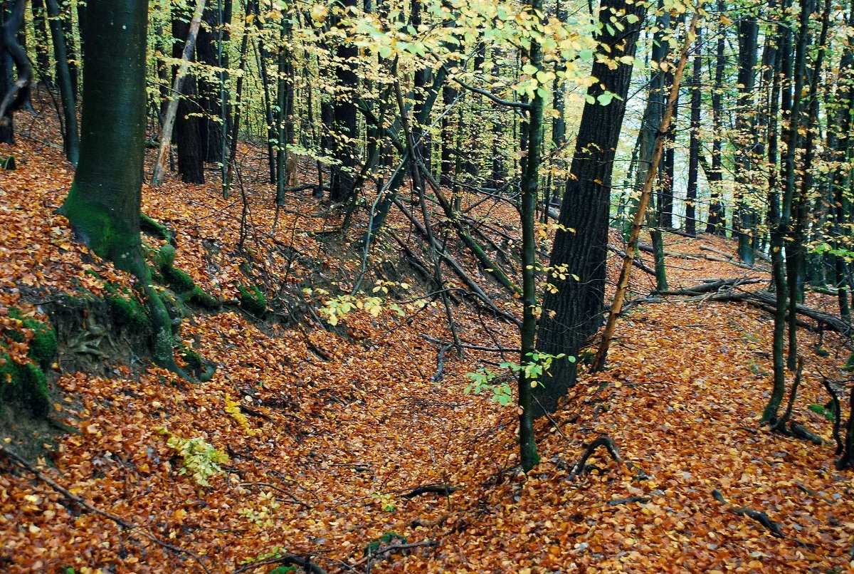 Anlagenreste Freiberger Geinz, Frauental 01