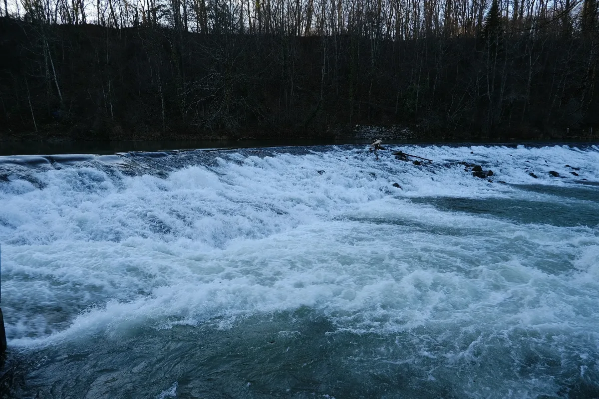 Arve @ Chêne Bougeries (50837832456)