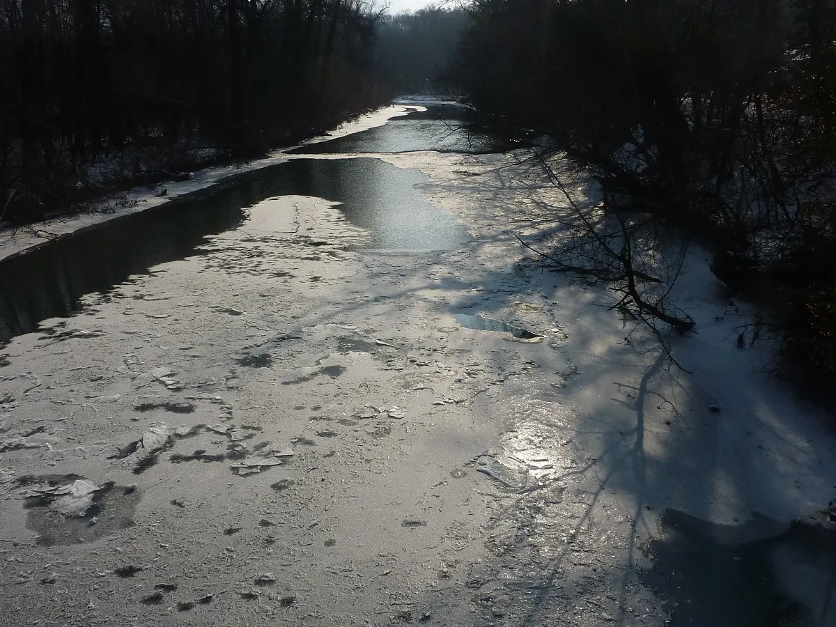 Arve River Geneva 201202 Erd18
