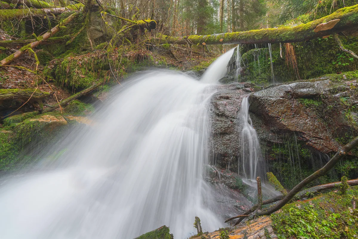 Atzenbacher Wasserfall 2019 2