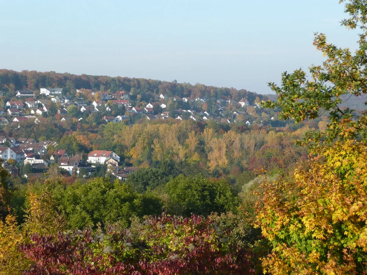 Ausblick Von Der S Bahnstation Österfeld Richtung Dachswald Panoramio
