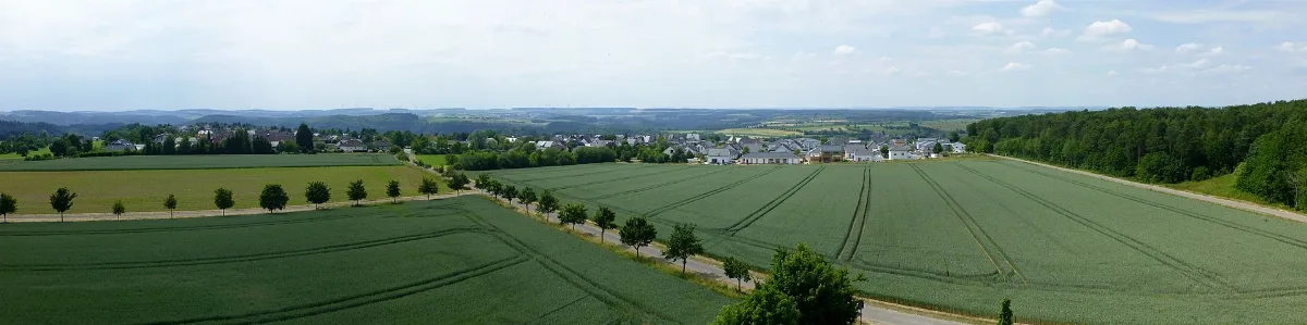 Aussichtsturm Zemmer 04 Panorama