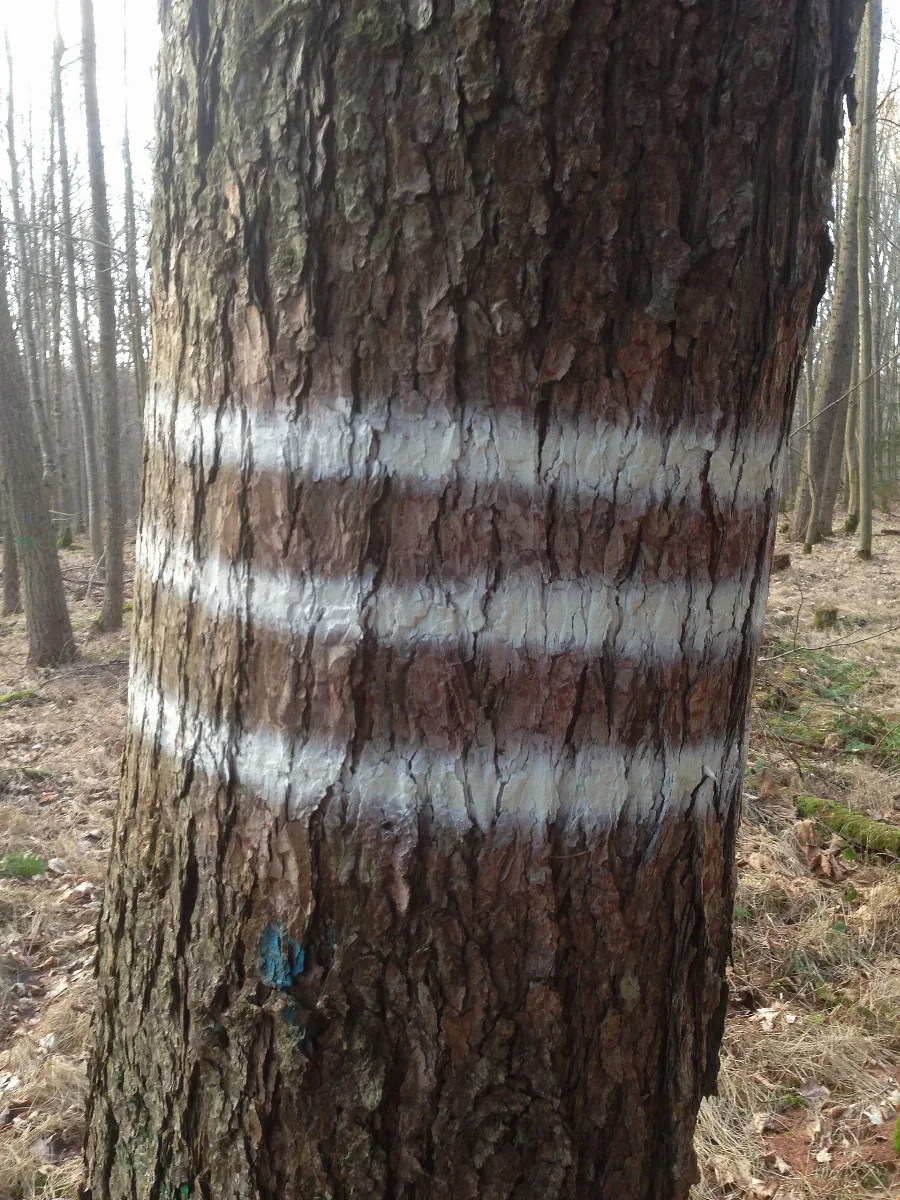 Auszeichensymbol Besitzgrenze 2