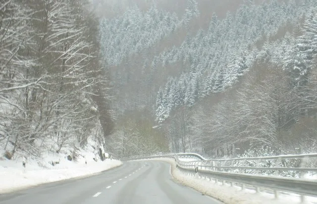 B37 Zwischen Hochspeyer Und Frankenstein Geo.hlipp.de 28285