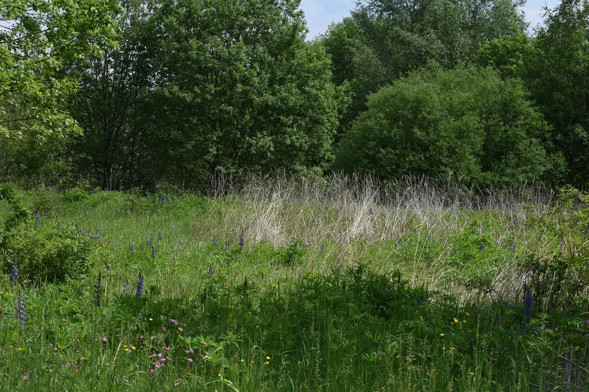 Baden Württemberg, Uhingen, Ffh Gebiet 7222 344 Schurwald