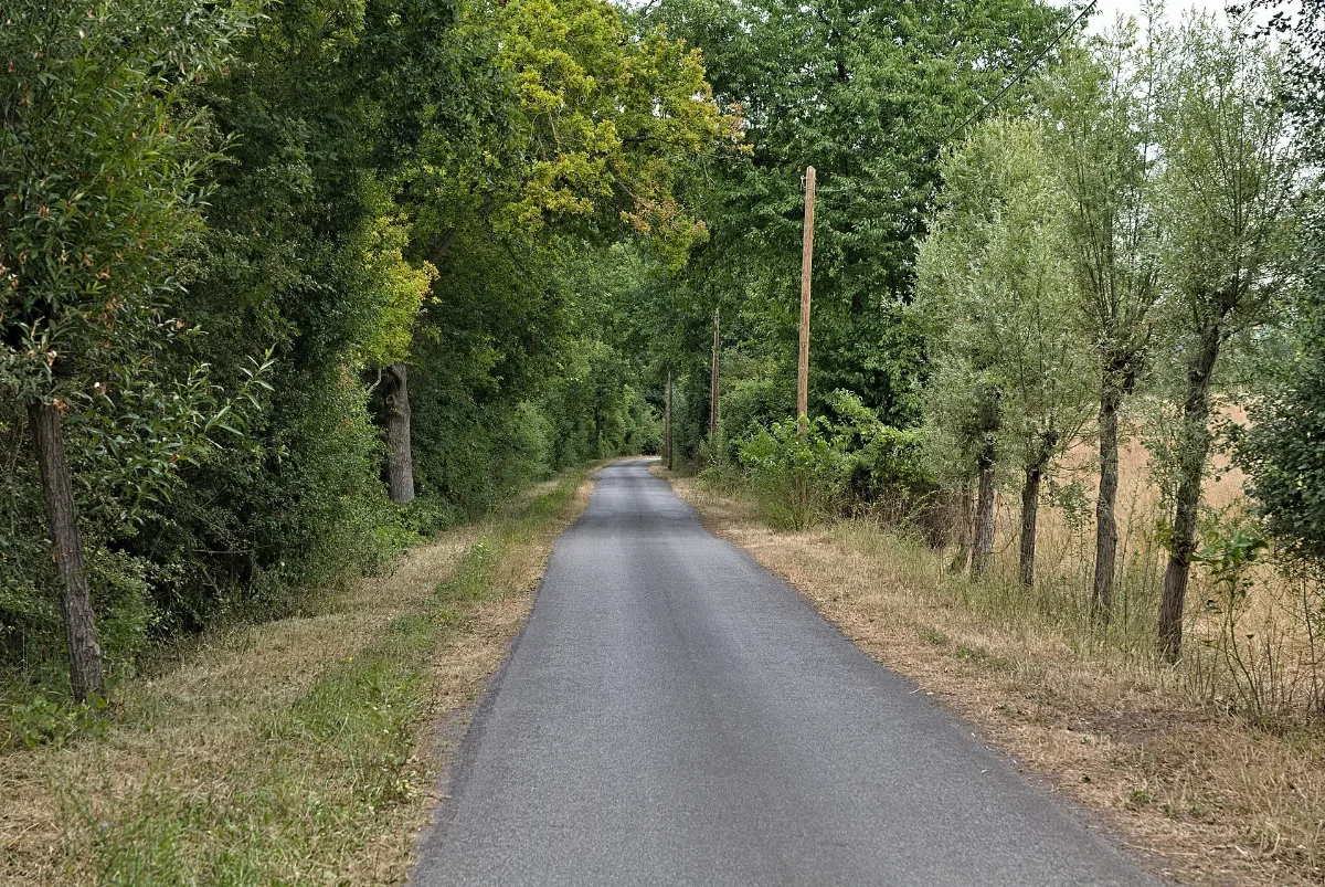 Badweg Nieder Ingelheim 2022 07 27 04