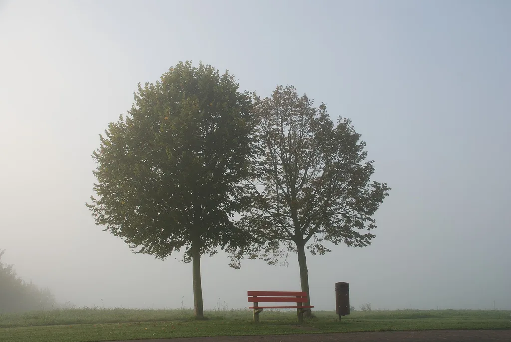 Baettwil So, Herbst (1503651509)