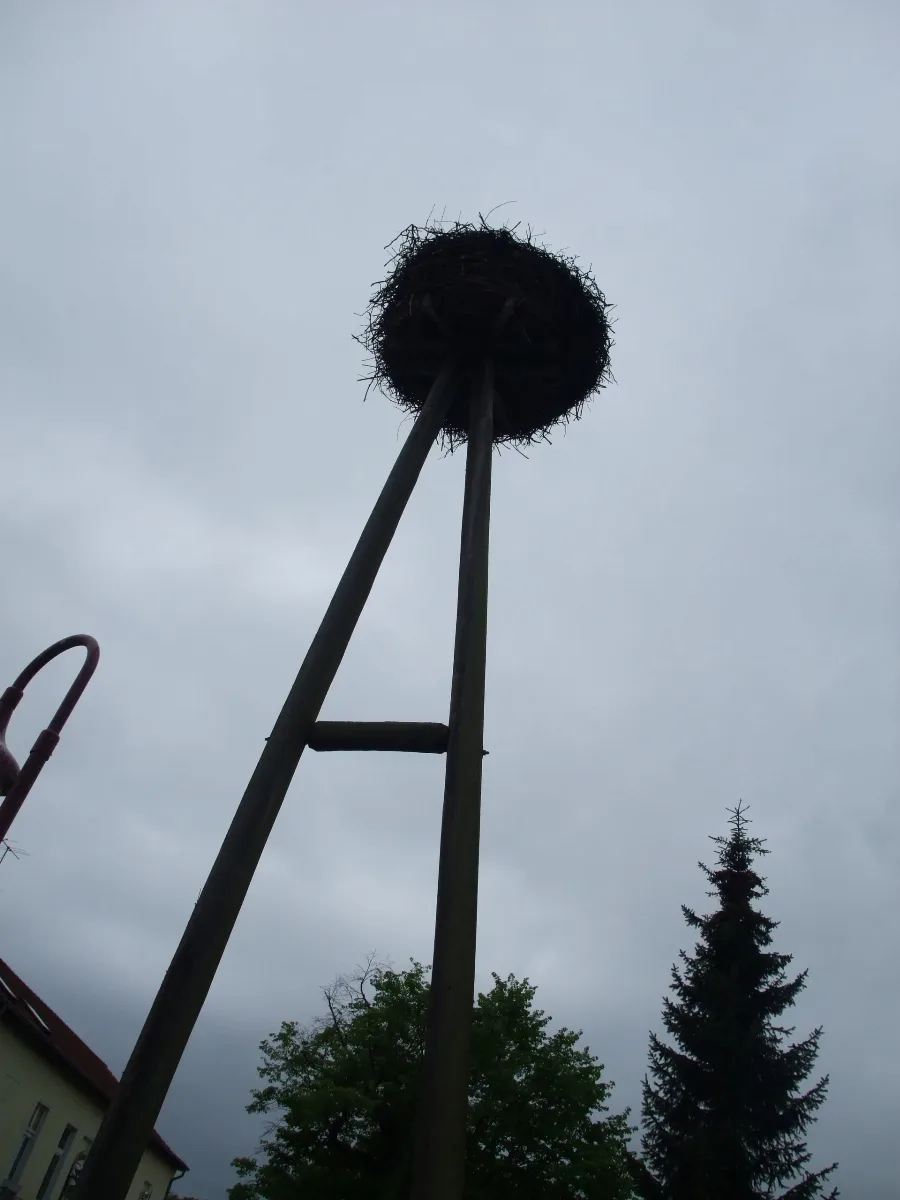 Bagow Storchenhorst Vi 003