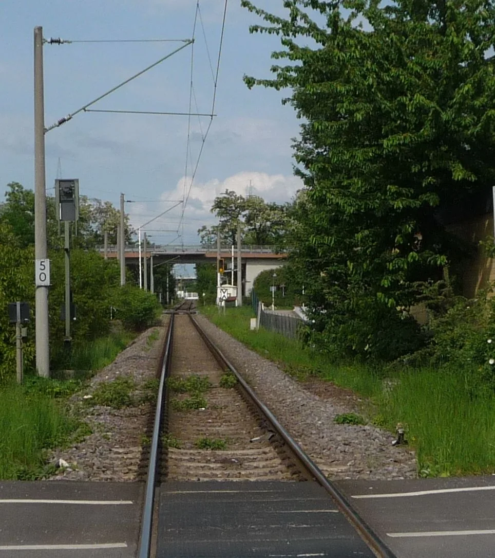 Bahnstrecke Zwischen Oppau Und Edigheim Panoramio