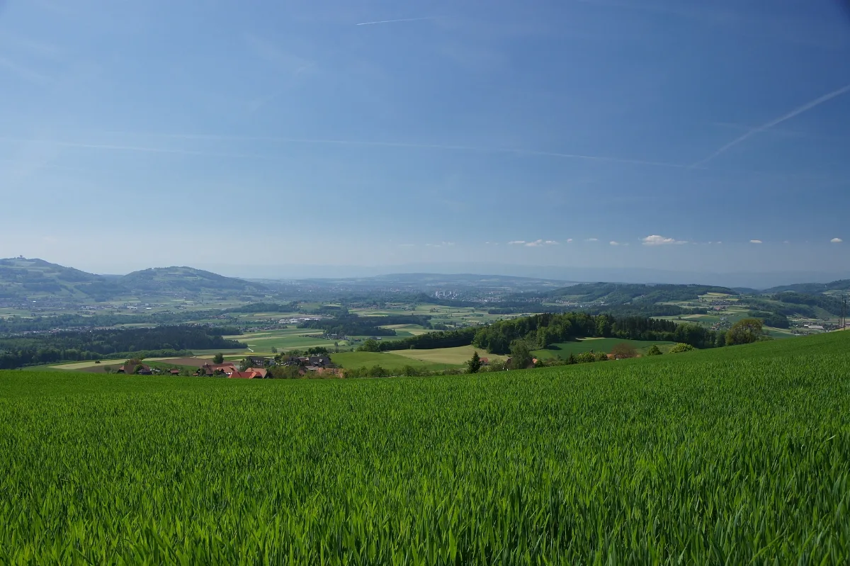 Ballenbühl