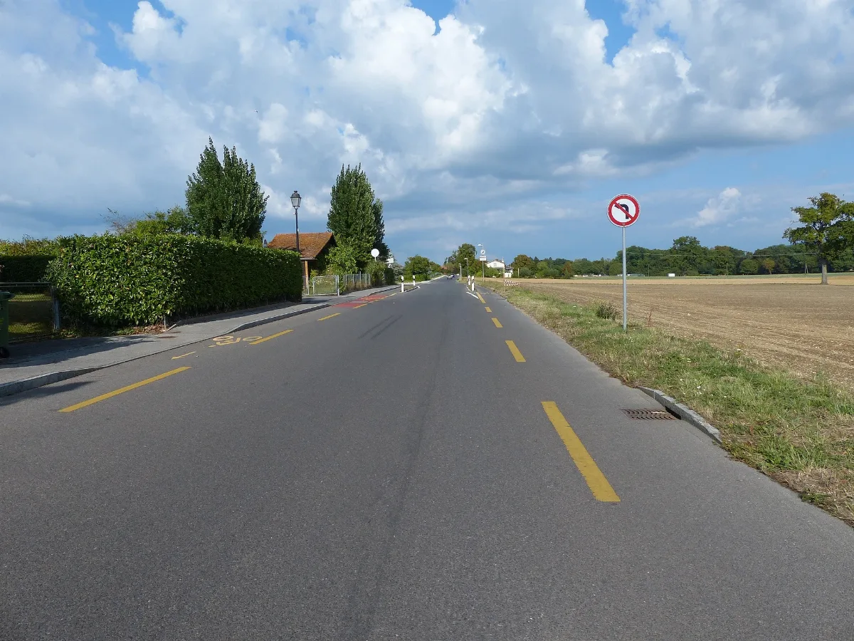 Bassy Panneau 2.43