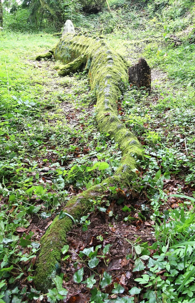 Baustert (Eifel); Waldkrokodil B